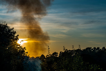 Smoke in the forest against the sun