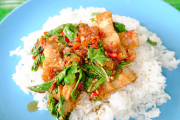 Rice topped with Crispy sliced pork and basil leaf. Traditional Thai street food.