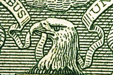 American eagle with one dollar bill at maximum magnification. 1 one Dollar USA,  eagle. Concept for success, business, dominance, strategy.