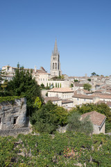 Fototapeta na wymiar vineyard town of Saint-Emilion Gironde Aquitaine, France UNESCO World Heritage Site