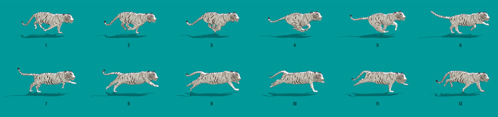 Lioness Run Cycle Animation Sequence Wall Mural | Wallpaper Murals-AryanRaj