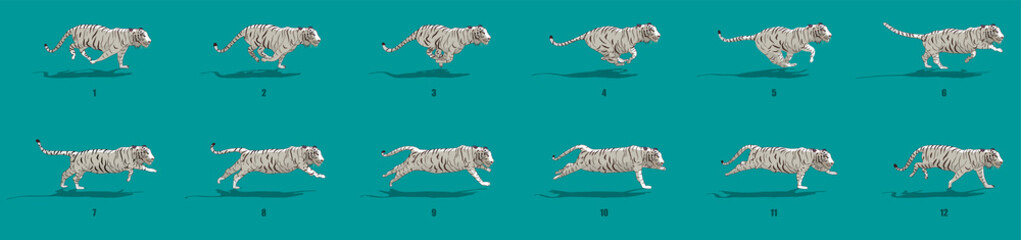 Tiger run cycle animation sequence