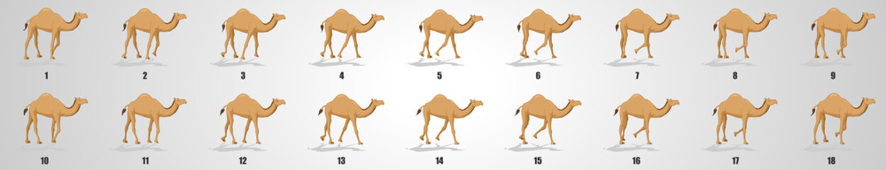 Camel Walk cycle animation sequence