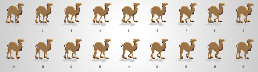 Camel Walk cycle animation sequence