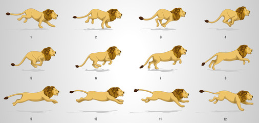 Lion run cycle animation sequence
