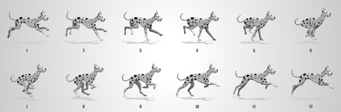 Great Dane Dog Run cycle animation sequence