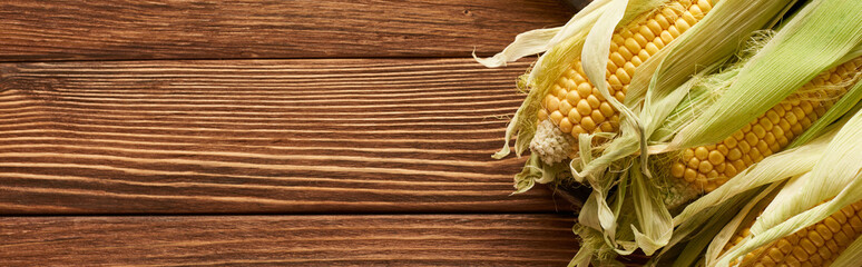 panoramic shot of ripe sweet corn on brown wooden surface