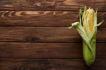 top view of fresh corn on wooden surface with copy space