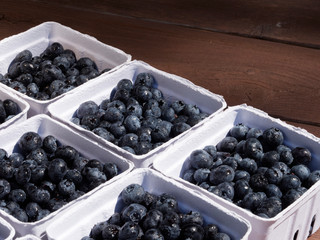 Small baskets of farmers market ready pints, 550ml, of freshly picked blueberries on a garden work table in the sunshine
