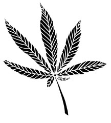 Decorative black trafaret leave of big hemp