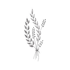 Botanical doodle. Floral elements. A small bouquet of grass, branches and flowers. Hand drawn illustration, isolated on white