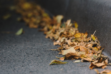 Close up photo of dry fallen leaves, lying on the side of the road. Golden autumn concept. Change of season, rebirth of nature. Selective focus, blurred background. Autumn foliage. Approach of winter.
