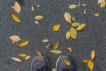 Man in shoes stand on colorful leaves in fall season. Casual unisex sneakers with autumn yellow and orange fallen leaves on asphalt. Change of seasons. Defoliation. Copy space, top view.
