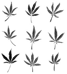 Decorative black trafaret set of big hemp leaves