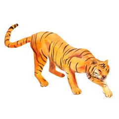 Watercolor illustration tiger, hand drawn animal, isolated object on white background.