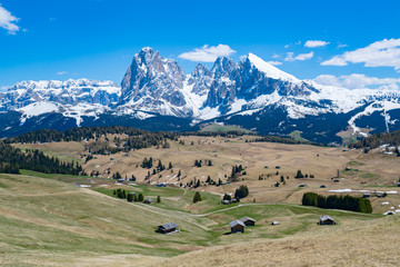 Amazing view of highest plateau alpine meadow in Europe, Alpe di Siusi in Ortisei, Dolomites, Italy.