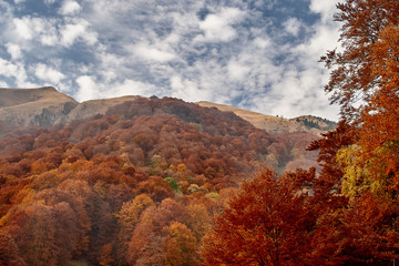autumn in carpathians mountain
