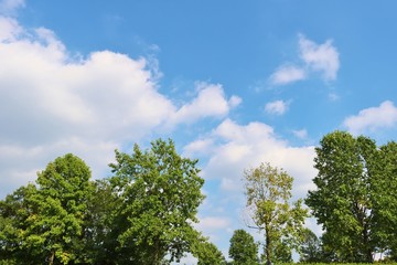 風景　空　緑　秋　杤木　日本