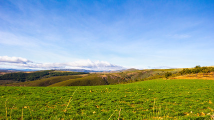 Obraz premium landscape with green field and blue sky