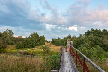 A girl is standing on a suspension bridge across a forest river