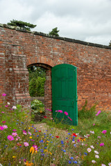 Wild Flowers walled Garden