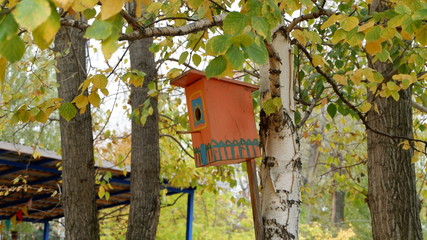 birdhouse on tree