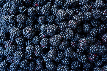 Close-up of a bunch of ripe blackberries. 