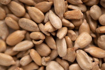 Close-up of sunflower seeds. Whole background.