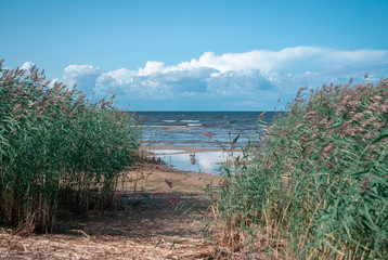 Ladoga lake beach, the largest lake in Europe