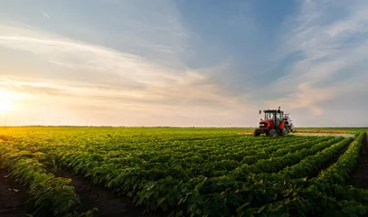 Photo sur Plexiglas Tracteur Tracteur pulvérisant un champ de soja