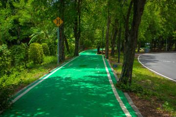 chatuchak railway park has trees that provide shade for relaxation