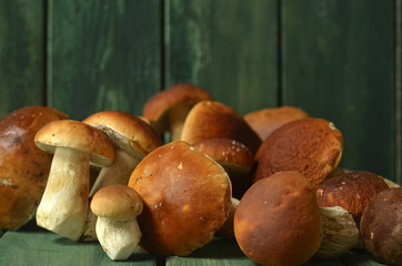 Raw porcini mushrooms on green wooden background. Fresh porcini mushrooms