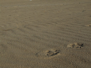 beach sign