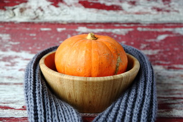  Orange pumpkin autumn gray  scarf vegetable