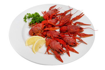 Red boiled crayfish on a plate isolated on a white background.