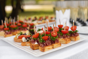 Close-up big plate with serving snack canapes fried bread tomato parsley and salami. Appetizing...