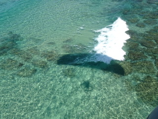 Paramotor's shadow cast over the breaking waves