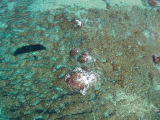 Paramotor's shadow cast over the breaking waves