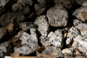 zoom stones