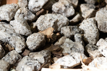 zoom stones