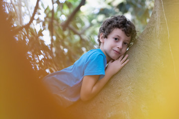 Kid climbing on a big tree in a park. Children making healthy sport activities outdoors concept