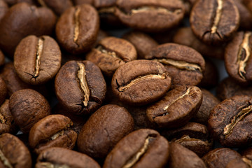 Coffee beans close-up background. Fresh roasted
