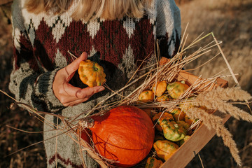 Woman holding wooden box with pumpkin and squash. Blond hair girl harvesting in outdoor nature....