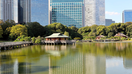 Fototapeta premium TOKYO, JAPAN. 2019 Sep 26th. View of Hamarikyu Japanese Garden and High-Rise Buildings.