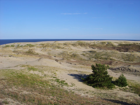 Dune Efa