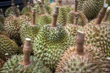 Naklejka na ściany i meble Close up, view of group durian fruits in Thailand.