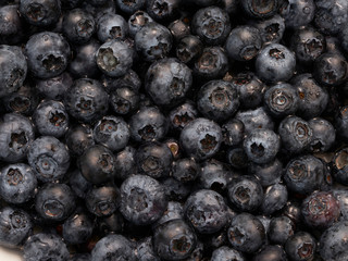 Fresh organic blueberries closeup on white