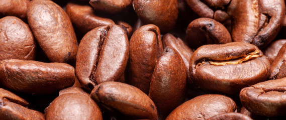 Macro shot of roasted coffee beans