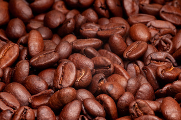 Beautiful brown color full frame coffee beans background image. Roasted coffee beans.