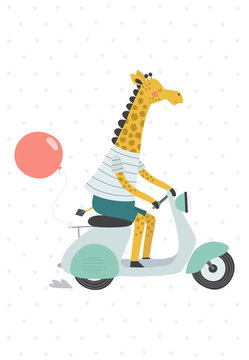 recommend clip art: Giraffe on a scooter with a balloon. Vector illustration in a scandinavian style.